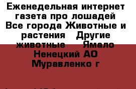 Еженедельная интернет - газета про лошадей - Все города Животные и растения » Другие животные   . Ямало-Ненецкий АО,Муравленко г.